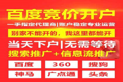 SEM搜索引擎优化成功案例，揭示优化策略与技巧